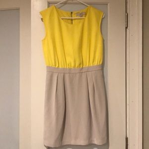 Loft business casual dress